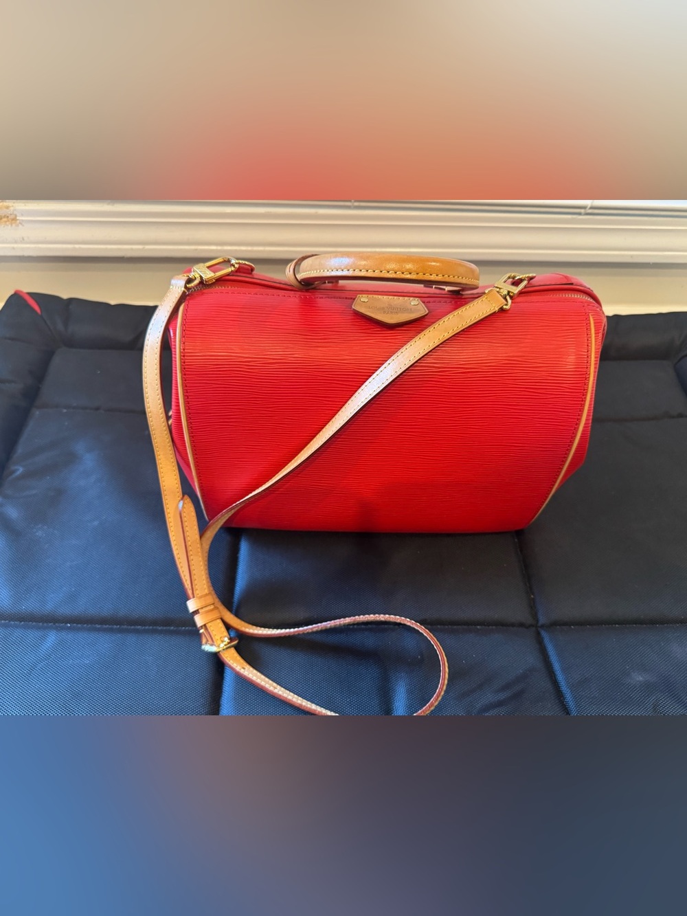 Louis Vuitton Coquelicot Epi Leather